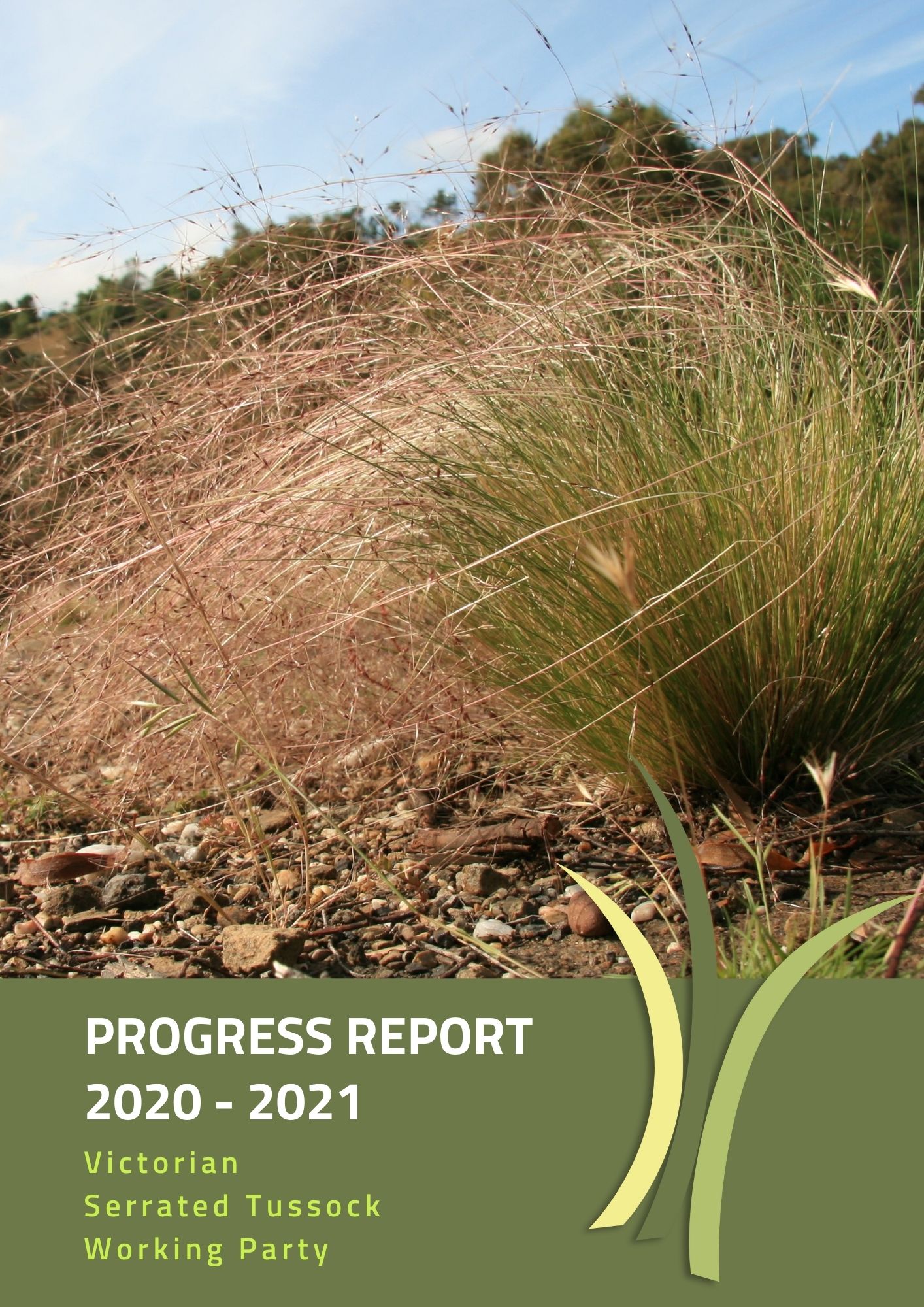 VSTWP Progress Report 2020 - 2021