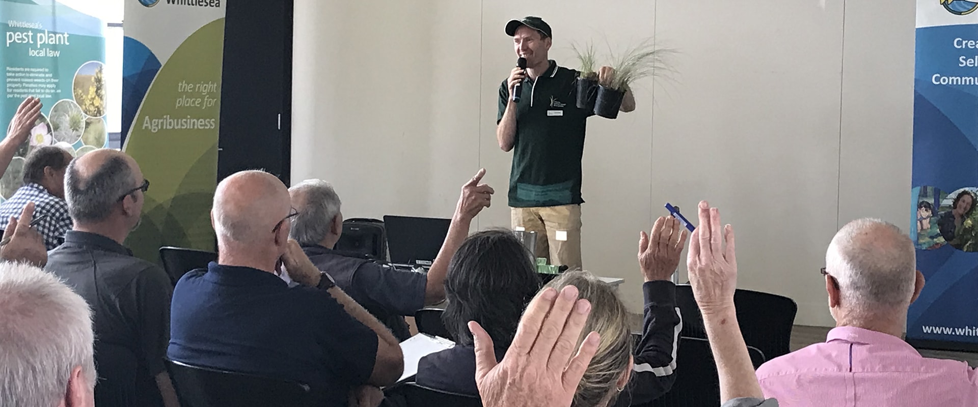 Serrated Tussock - Slider 6