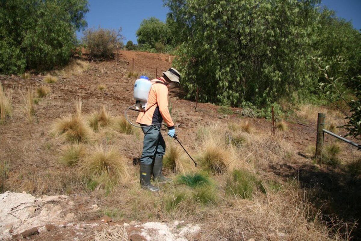 spot spraying page 6 vstwp