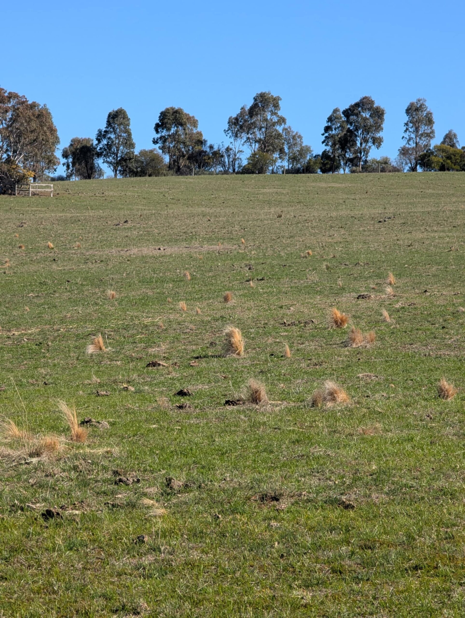 8297e7df-bcaa-4d9b-9323-2b935da38eac